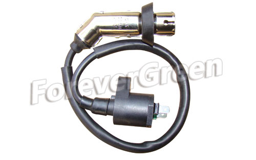 42053 Ignition Coil Assy